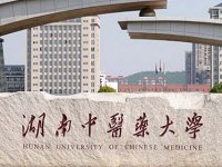 《关于加强新时代中医药人才工作的意见》国中医药人教发〔2022〕4号