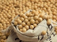 农业农村部办公厅印发《农业品牌精品培育计划（2022-2025年）》农办市[2022]8号