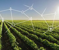 商务部等9部门关于推动农村电商高质量发展的实施意见（商流通函〔2024〕39号）