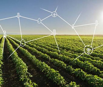 商务部等9部门关于推动农村电商高质量发展的实施意见（商流通函〔2024〕39号）