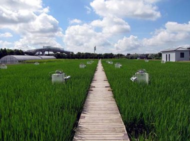 《中华人民共和国耕地占用税法实施办法》财政部公告2019年 第81号