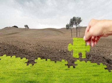 自然资源部办公厅关于明确存量采矿用地复垦修复土地验收有关要求的通知（自然资办发〔2023〕26号）