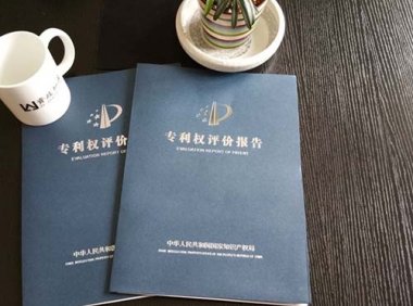 《关于加入《海牙协定》后相关业务处理暂行办法》国家知识产权局公告 第481号