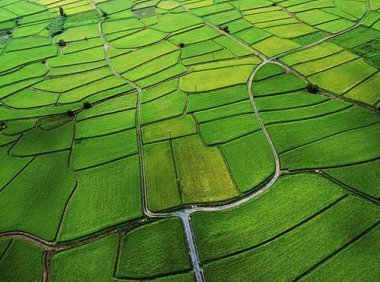 《土地调查条例》国务院令第518号