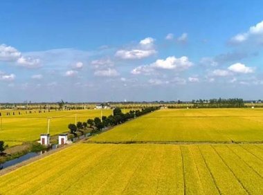 《基本农田保护条例》2011年修订