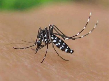 《外来入侵物种管理办法》农业农村部令〔2022〕第4号