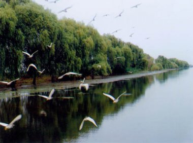 《淮河流域水污染防治暂行条例》2011年修订