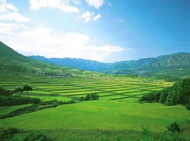 《自然资源行政处罚办法》2020年修正