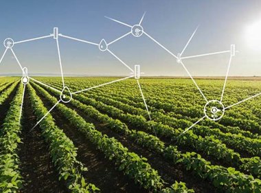 商务部等9部门关于推动农村电商高质量发展的实施意见（商流通函〔2024〕39号）