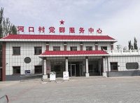 关于健全完善村级综合服务功能的意见(民发〔2022〕56号)