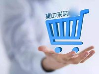 关于规范中央企业采购管理工作的指导意见(国资发改革规〔2024〕53号)