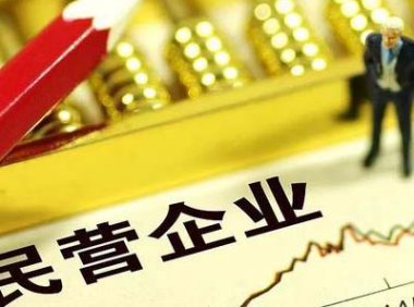 国家发展改革委等部门关于实施促进民营经济发展近期若干举措的通知（发改体改〔2023〕1054号）