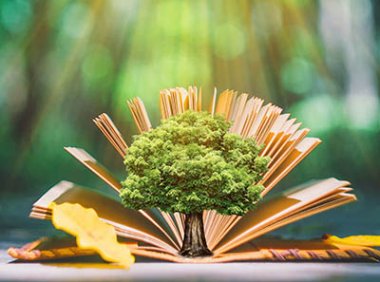 《国家自然科学基金条例》国务院令 第487号