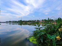 生态环境分区管控管理暂行规定（环环评〔2024〕41号）