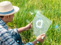 农业农村部办公厅关于推介发布2022年粮油生产主导品种主推技术的通知（农办科〔2022〕22号）