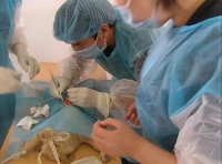 《动物检疫管理办法》农业农村部令2022年第7号