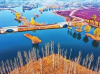 关于印发《黄河生态保护治理攻坚战行动方案》的通知（环综合〔2022〕51号）