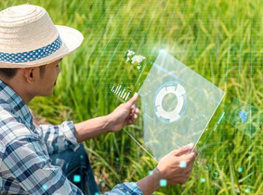 农业农村部办公厅关于推介发布2022年粮油生产主导品种主推技术的通知（农办科〔2022〕22号）