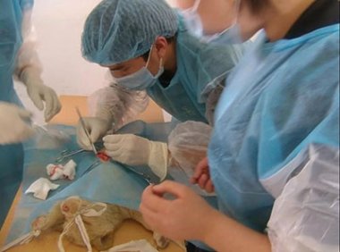 《动物检疫管理办法》农业农村部令2022年第7号