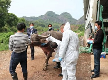 《动物防疫条件审查办法》农业农村部令2022年第8号