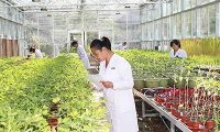 《农药登记试验质量管理规范》农业部公告第2570号