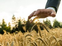 《中华人民共和国植物新品种保护条例》2014年修订