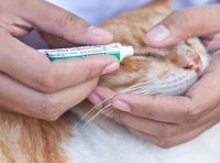 人用中药转为宠物用中药注册资料要求（农业农村部公告 第610号）