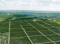 《国土绿化项目作业设计管理规定（试行）》林生发〔2022〕101 号