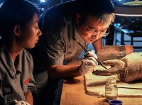 文物修复师国家职业技能标准（2021年版）