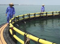 《“商渔共治2023”专项行动实施方案》交海函〔2023〕259号