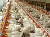 《畜禽规模养殖污染防治条例》国务院令第643号