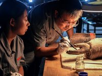 文物修复师国家职业技能标准(2021年版)