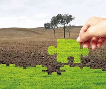 农业农村部关于加快农业发展全面绿色转型促进乡村生态振兴的指导意见（农规发〔2024〕27号）