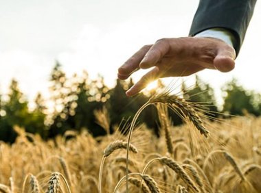 《中华人民共和国植物新品种保护条例》2014年修订