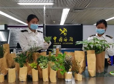 《中华人民共和国进出境动植物检疫法》主席令第53号