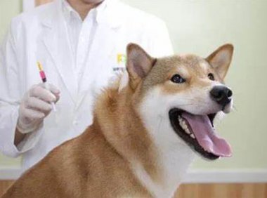 《兽药非临床研究质量管理规范(兽药GLP)》农业部公告第2336号