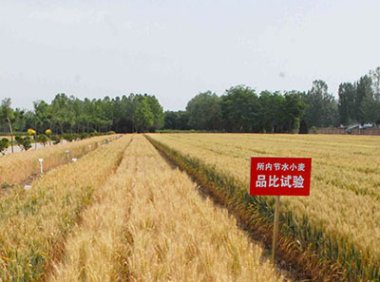 农业品种培优实施方案（2022—2025年）