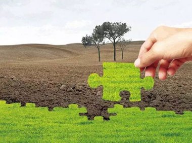 农业农村部关于加快农业发展全面绿色转型促进乡村生态振兴的指导意见（农规发〔2024〕27号）