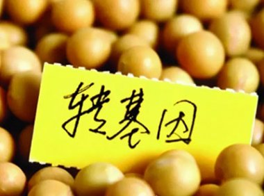 农业转基因生物及其产品安全控制措施