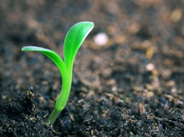 《农作物种质资源管理办法》2022年修订