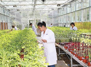 《农药登记试验质量管理规范》农业部公告第2570号