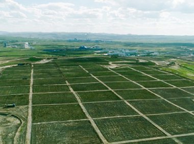 《国土绿化项目作业设计管理规定（试行）》林生发〔2022〕101 号