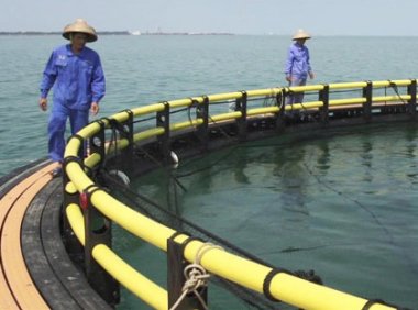 《“商渔共治2023”专项行动实施方案》交海函〔2023〕259号