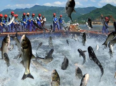 《渔业捕捞许可管理规定》2022年修订