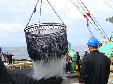 《中华人民共和国渔业船员管理办法》2022年修订