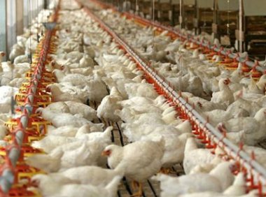 《畜禽规模养殖污染防治条例》国务院令第643号