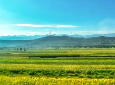 《社会资本投资农业农村指引（2022年）》农办计财[2022]10号