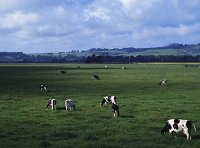 《畜禽养殖标准化示范创建活动工作方案（2018—2025年）》农办牧〔2018〕27号