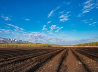 关于进一步加强补充耕地项目管理严格新增耕地核实认定的通知（自然资办发〔2022〕36号）