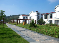 《“十四五”乡村绿化美化行动方案》林生发〔2022〕104号